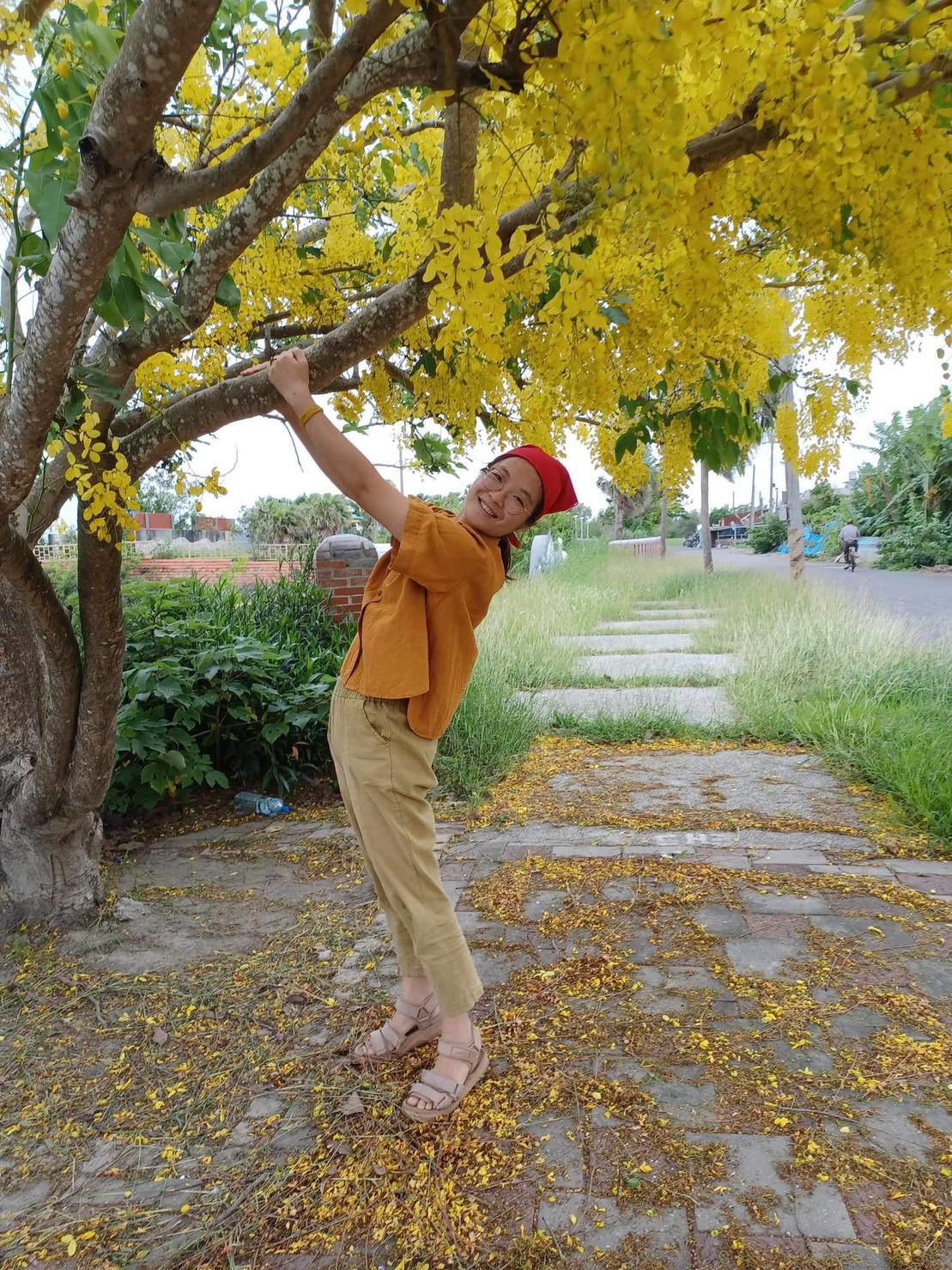 楊子新動畫導演